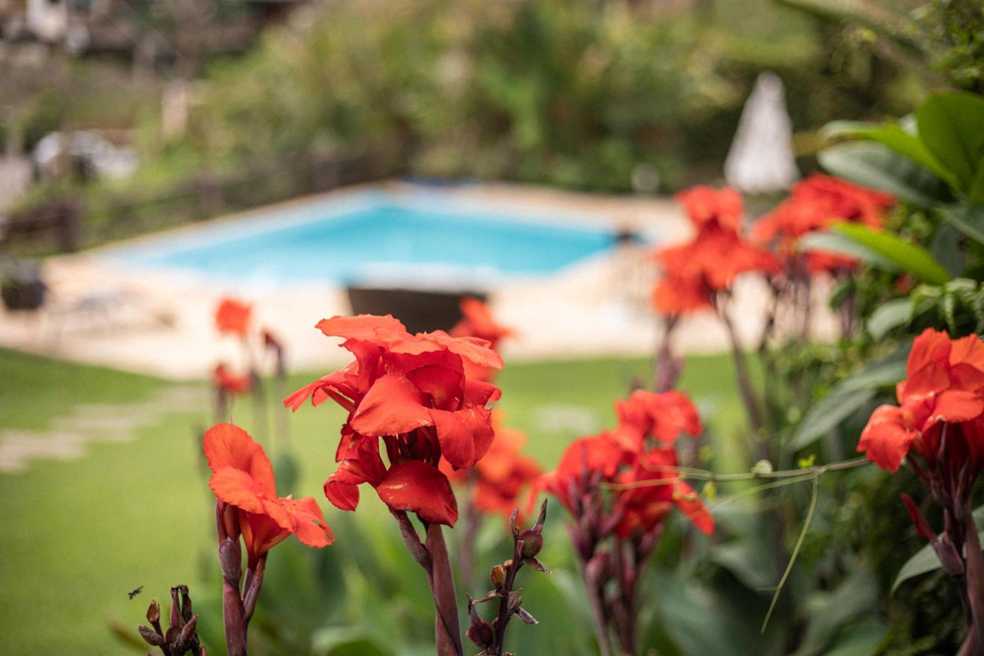 Отель Hibiscus Beach Armacao dos Buzios Экстерьер фото