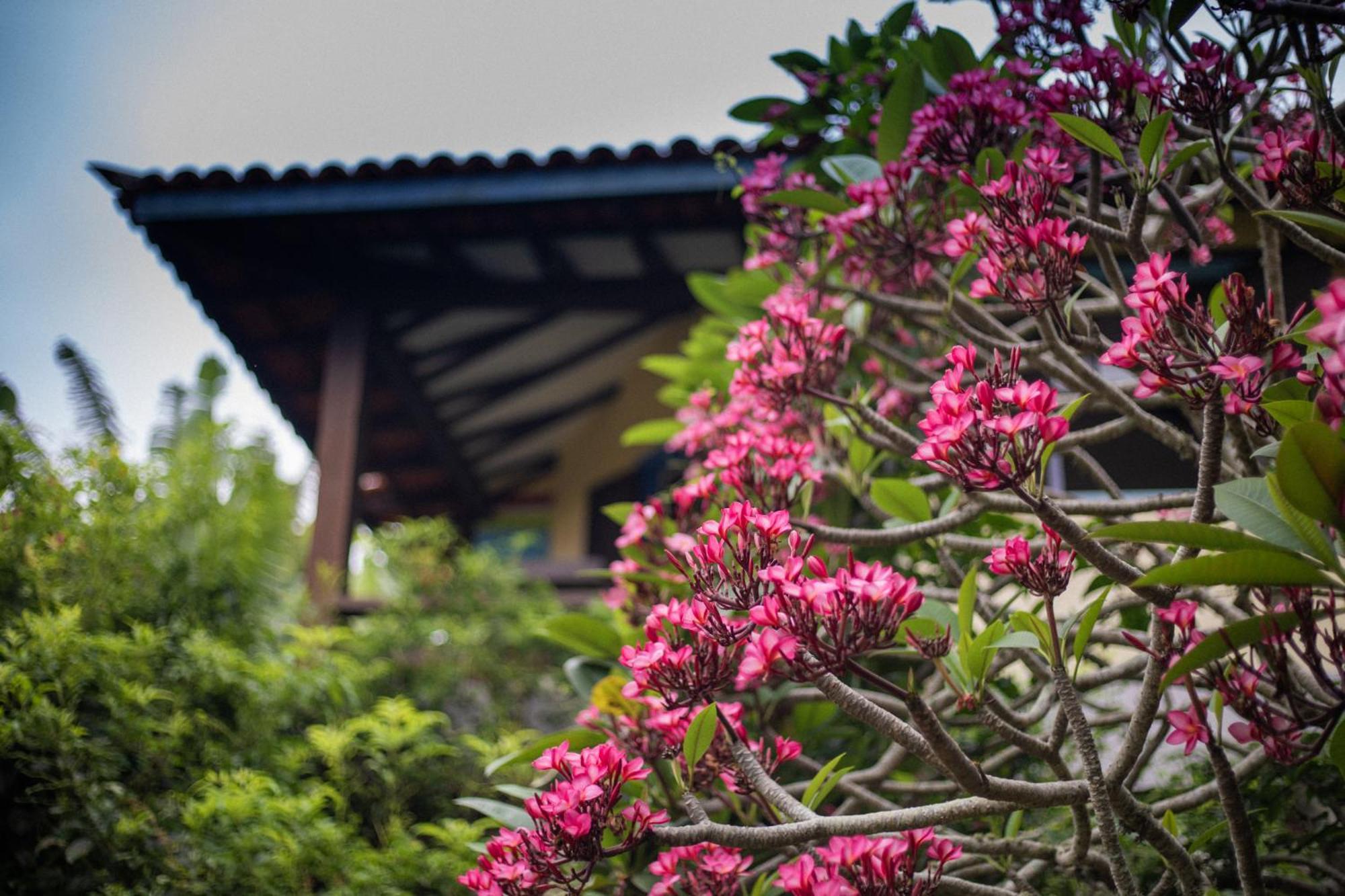 Отель Hibiscus Beach Armacao dos Buzios Экстерьер фото